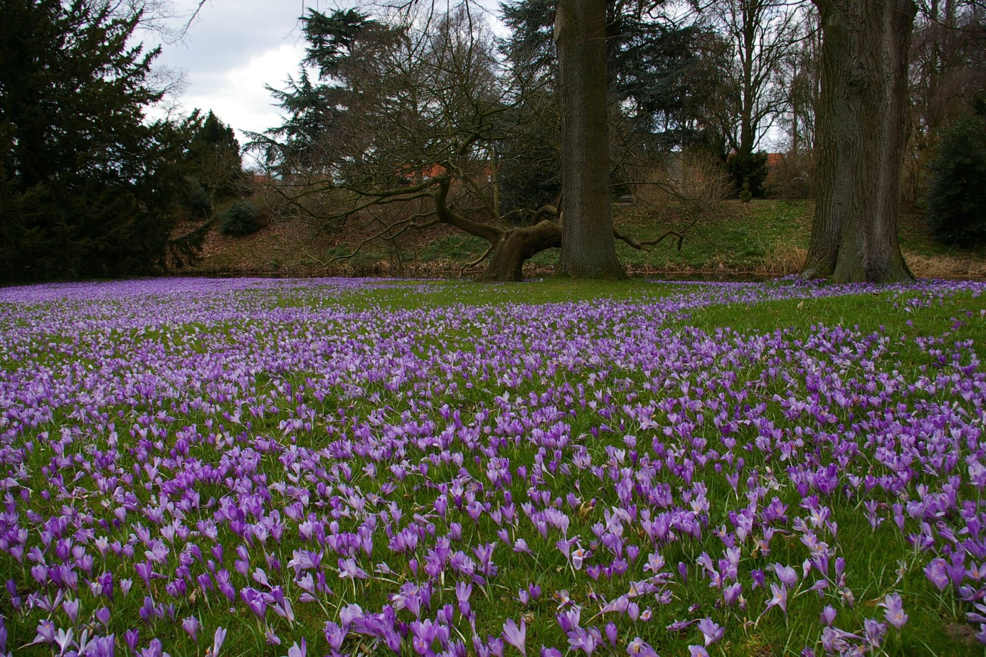 Natuurcursus IVN