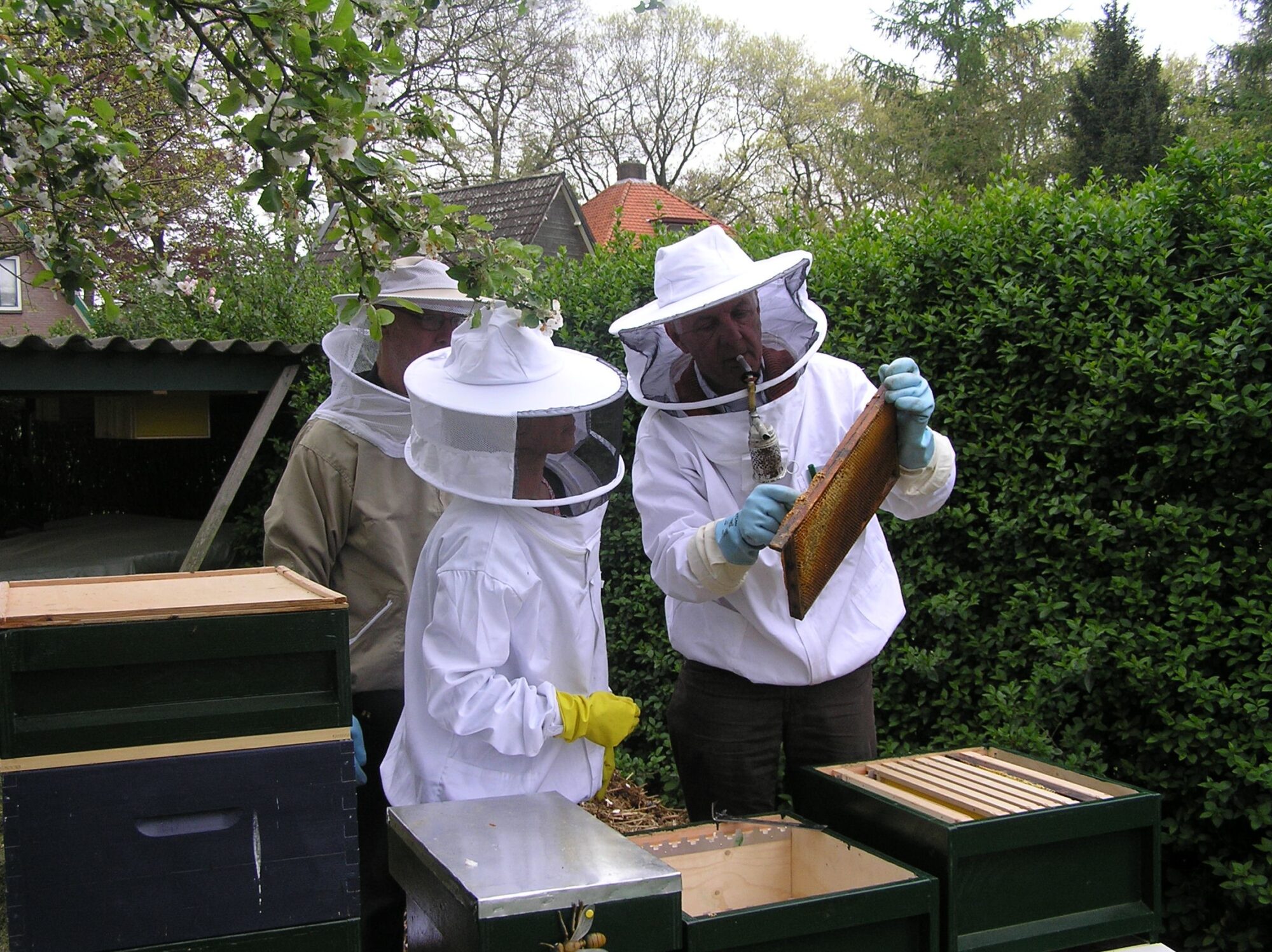 Bijenhouden interessante hobby