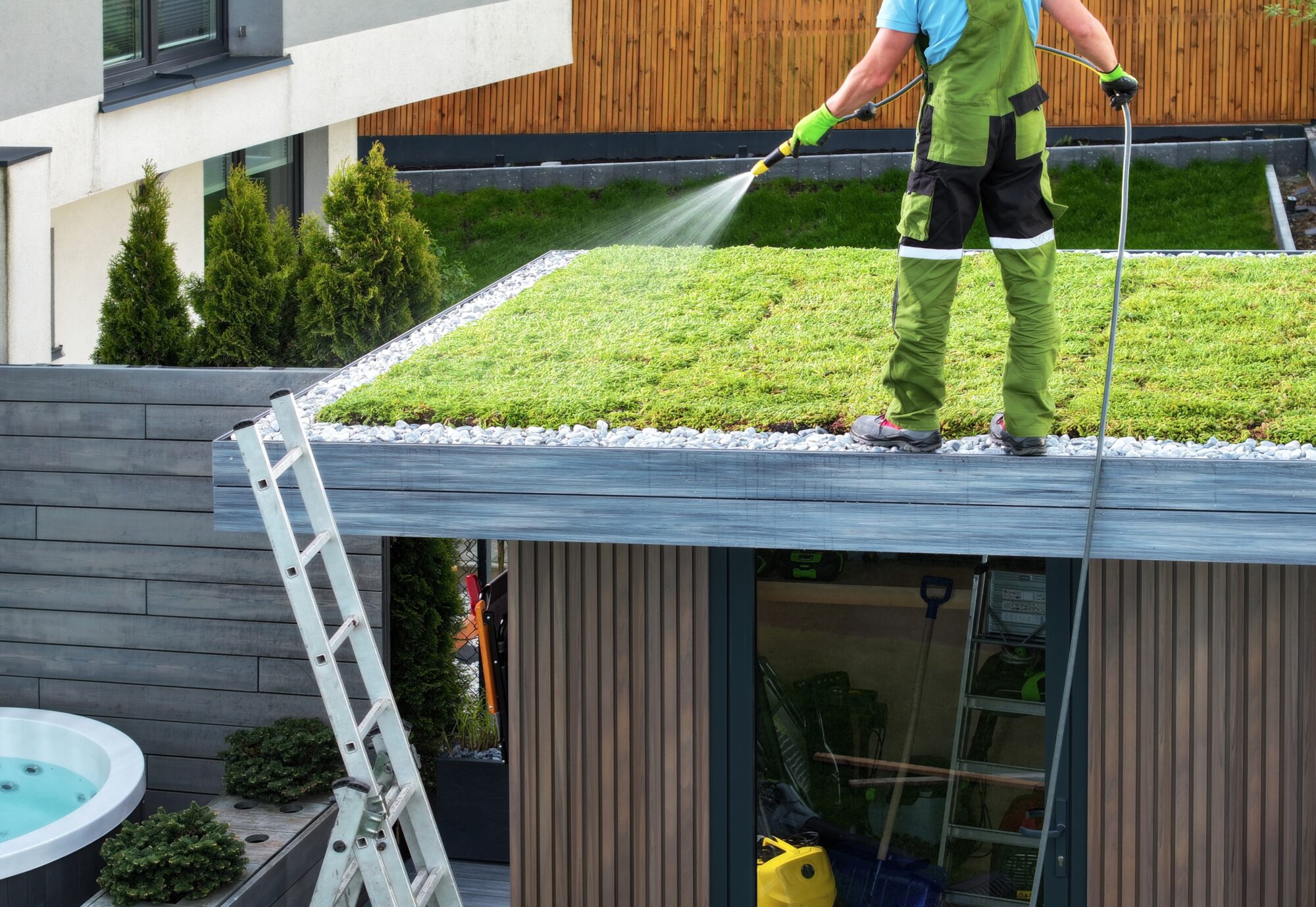 Alles wat je moet weten over groene daken