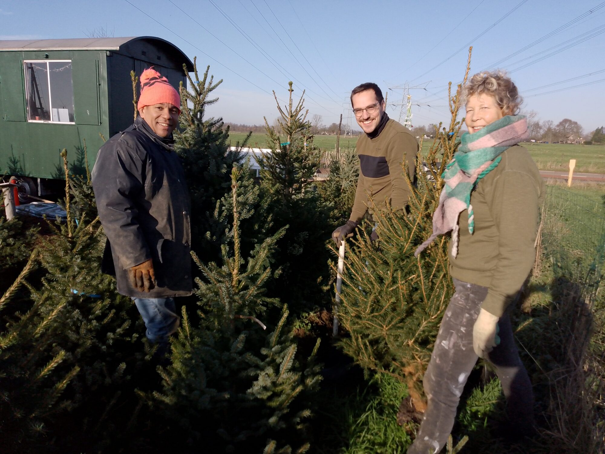 Duurzame kerstbomen in Zutphen