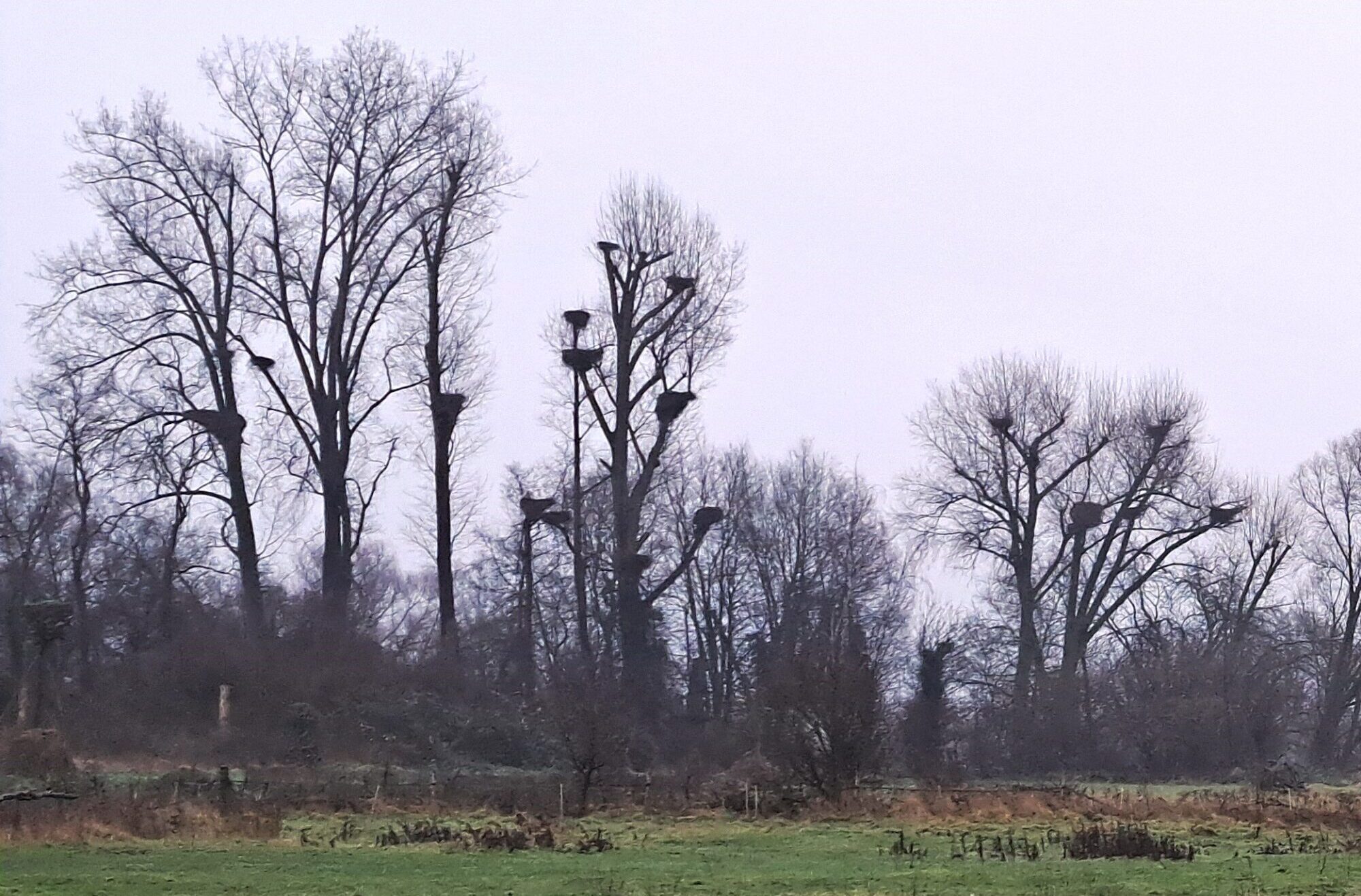 Van woeste grond naar cultuurlandscha