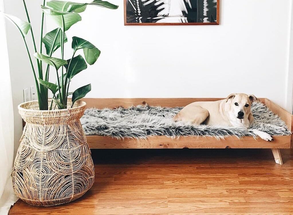 Luieren op de lekkerste daybeds voor binnen en buiten