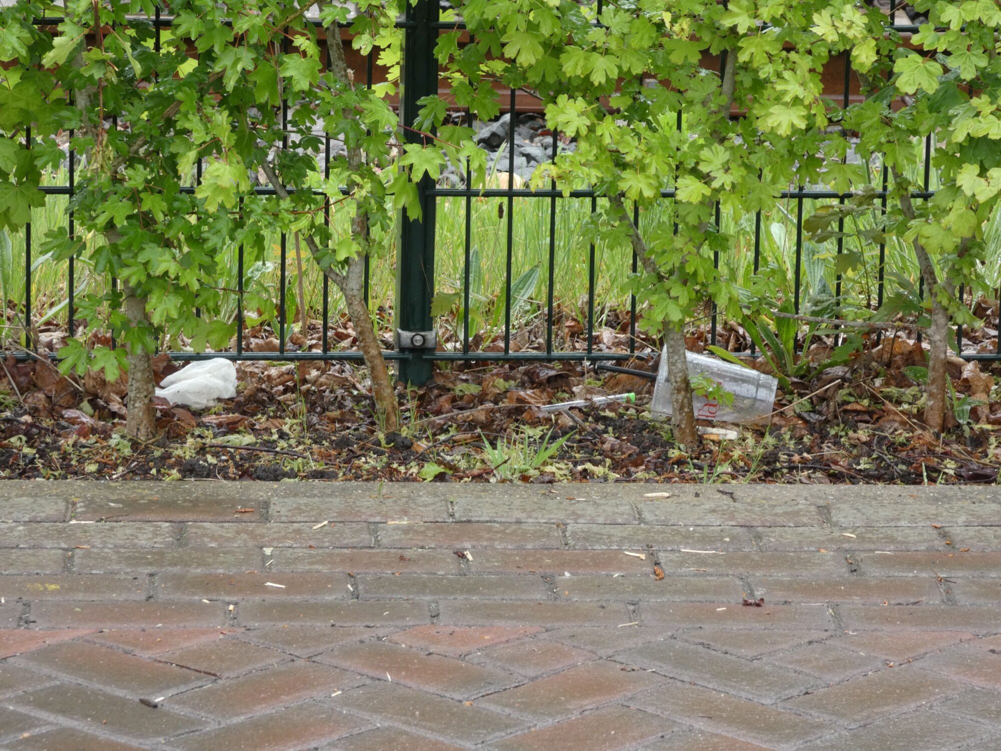 CleanUp langs Apeldoorns spoor