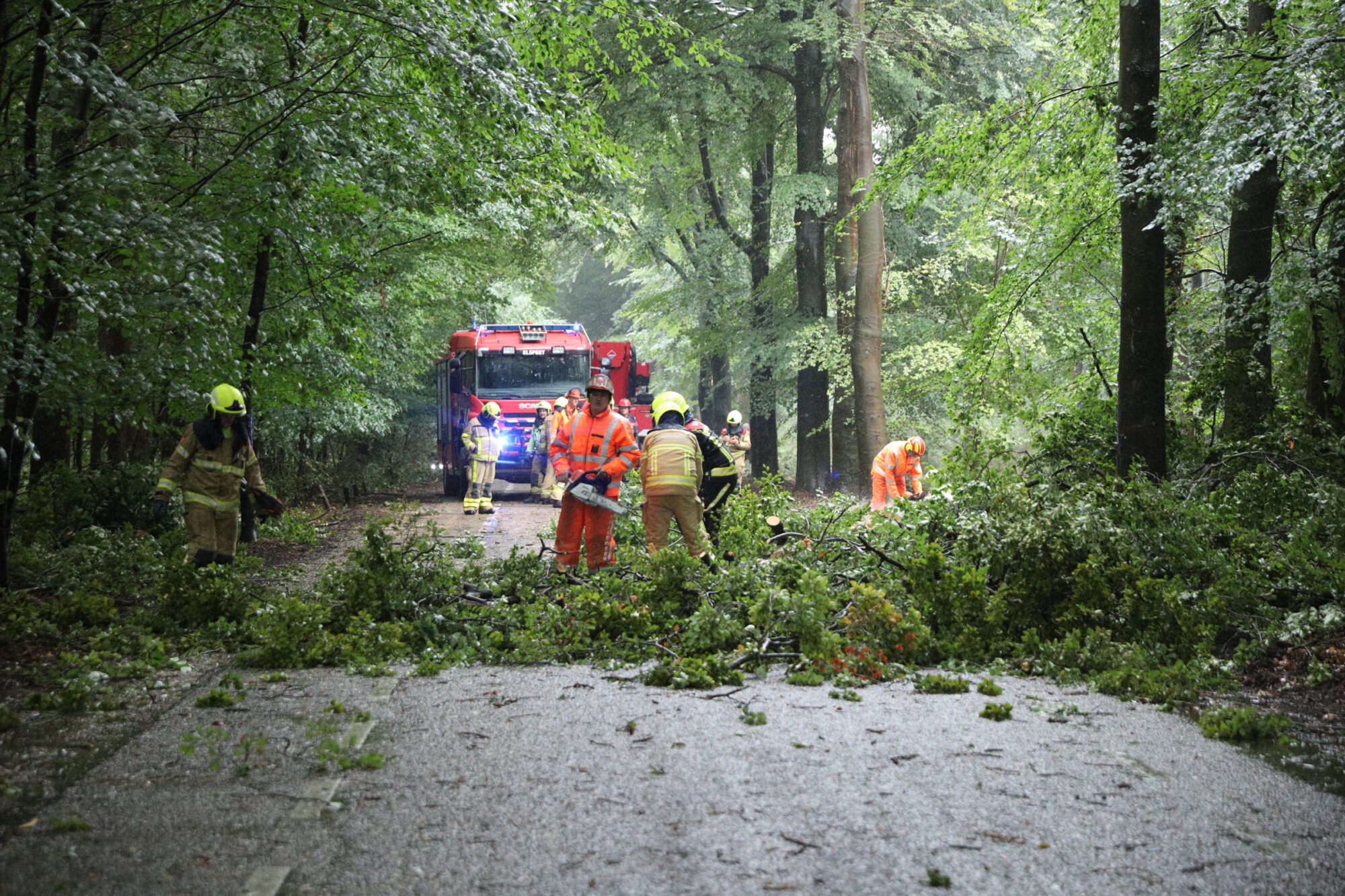 Aardhuisweg in Uddel volledig afgesloten na valwind, brandweer verwijdert meerdere bomen