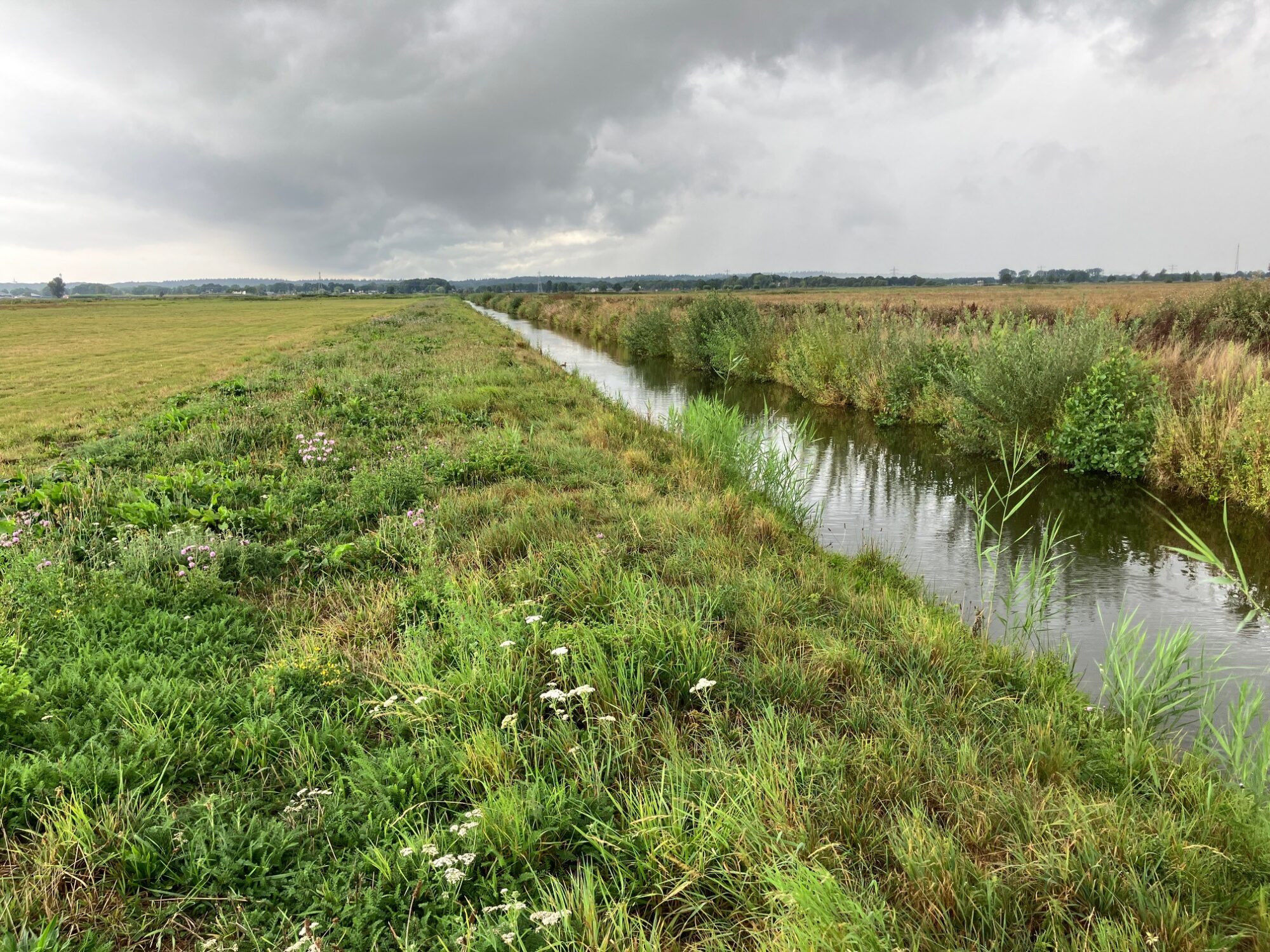 Tijdelijk onttrekkingsverbod grondwater natte landnatuur
