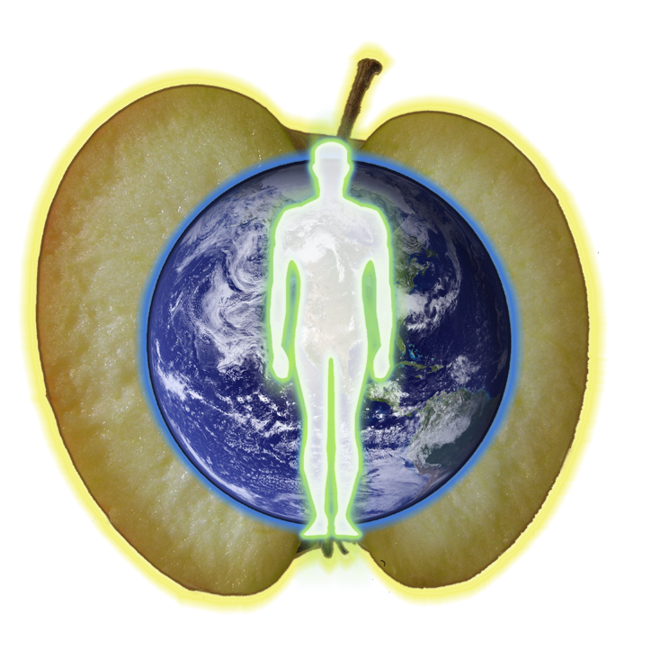 Care & Wellbeing in de Tarot