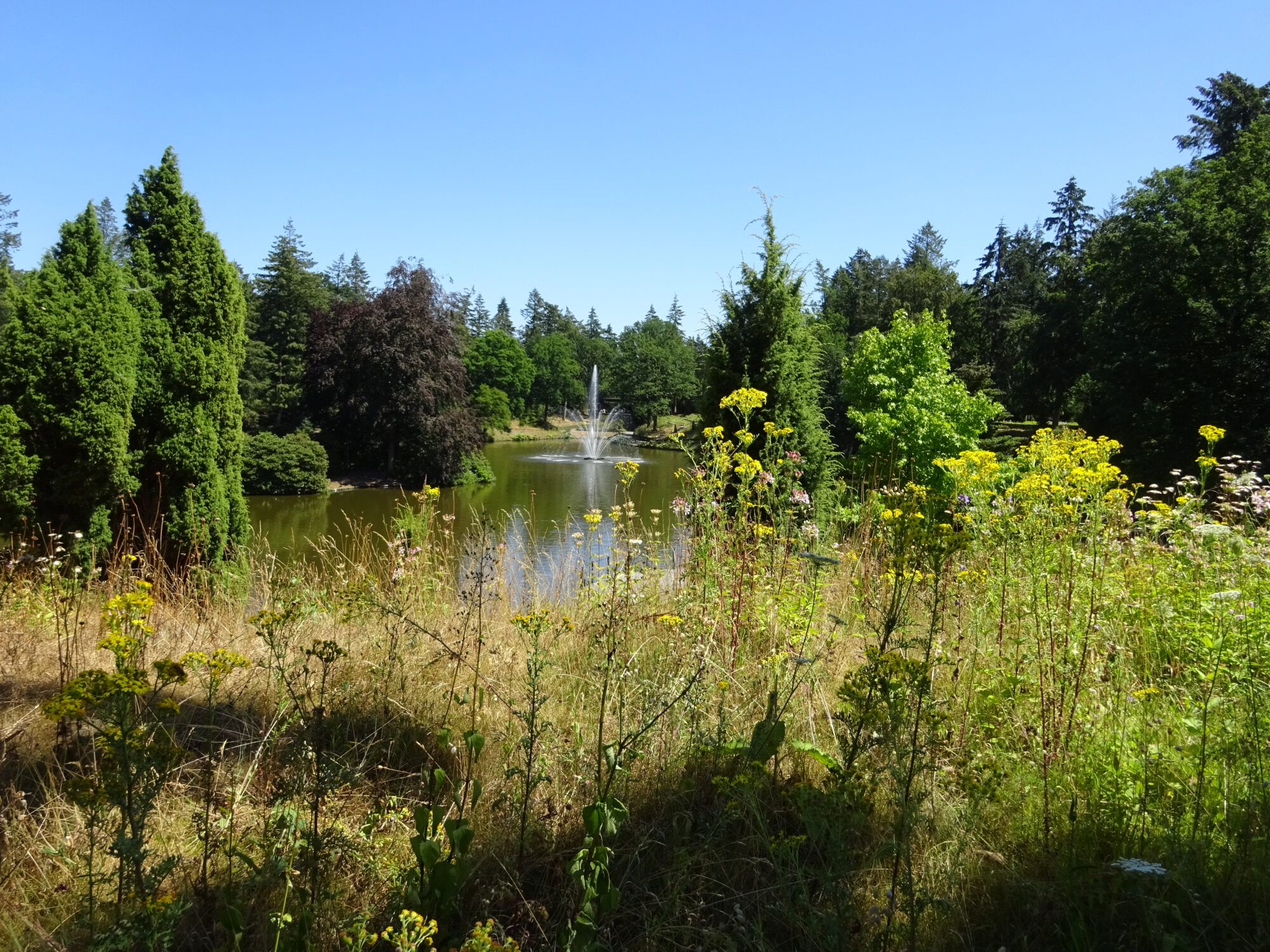 Park Berg en Bos: het groene hart van Apeldoorn
