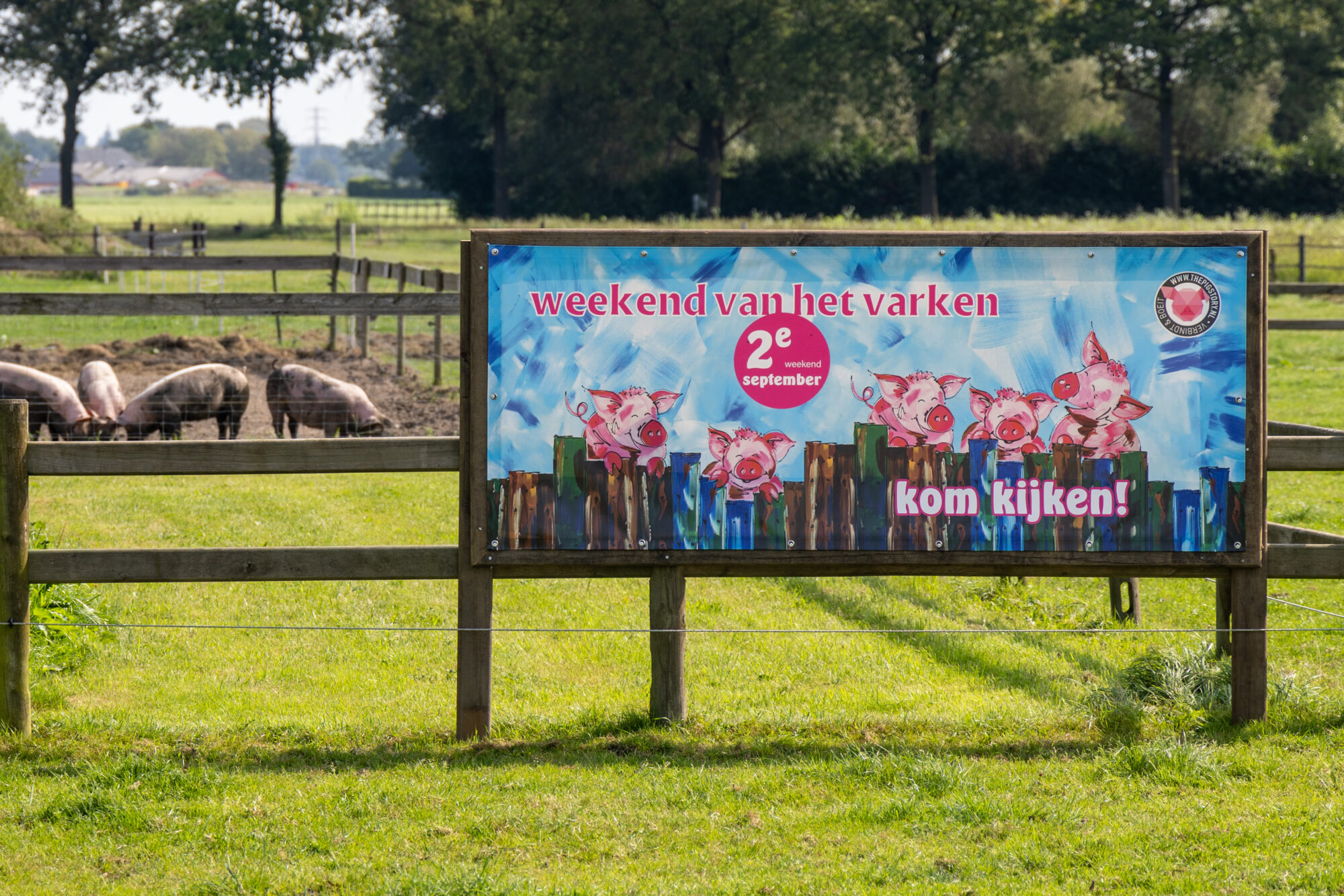 Open dagen bij familie Veldhuis in Klarenbeek