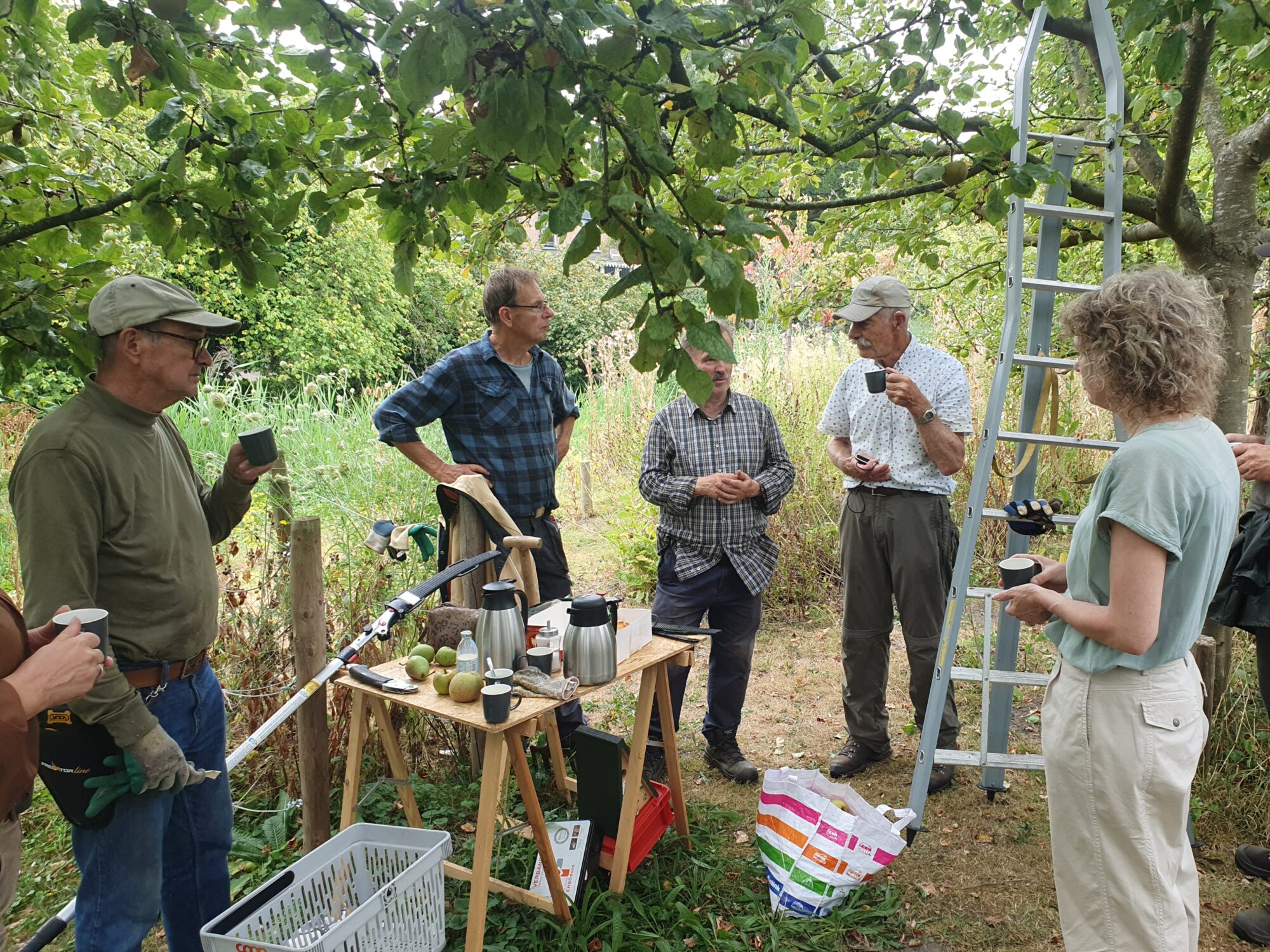 Hoogstambrigade stopt met deel snoeiwerk aan fruitbomen