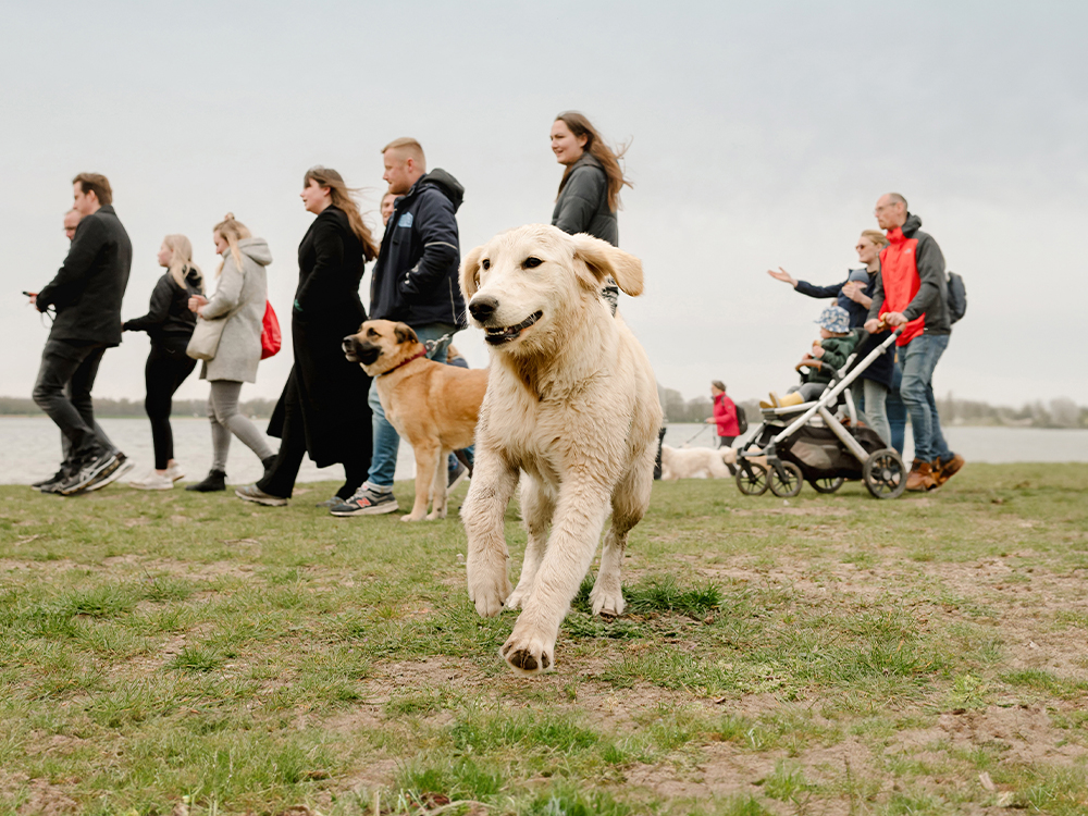 Met hond lopen voor goed doel