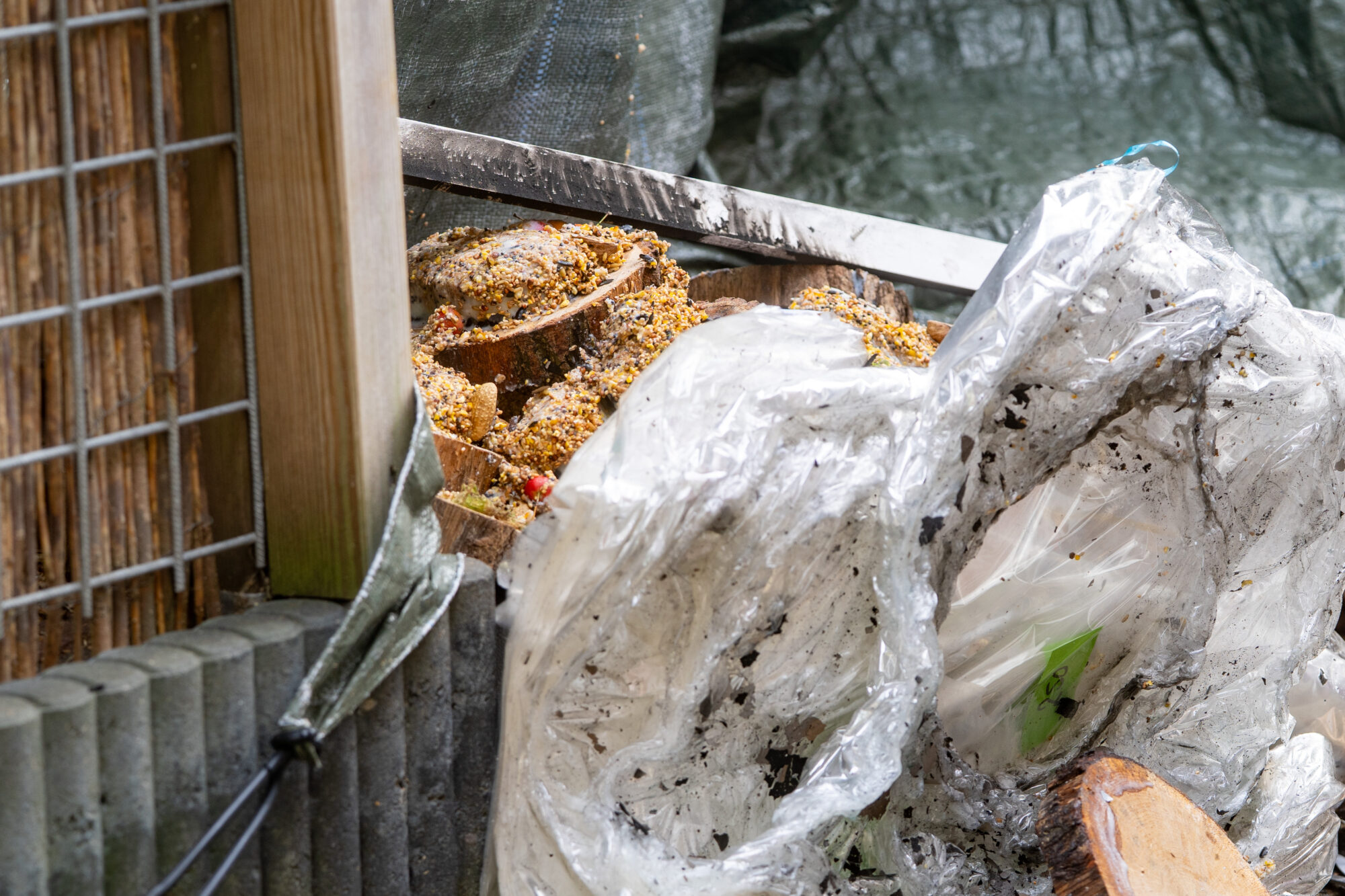 Frituurvet omsmelten voor vogeltaartjes gaat mis: vlam in de pan, schuur in brand