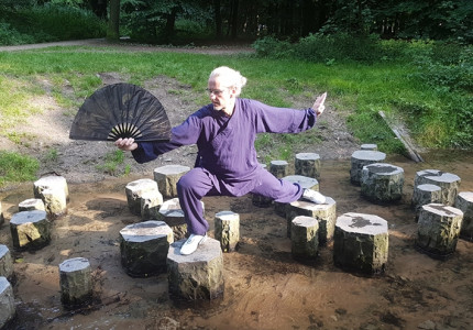 Wereld Tai Chi dag 2018