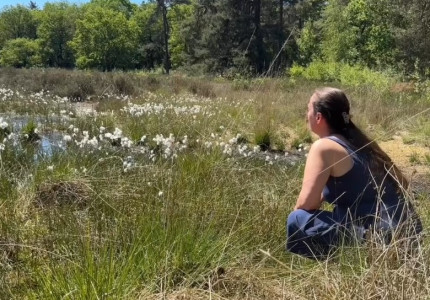 Natuur als bron van troost: samen werken aan bijzonder boek