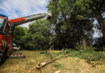 Maatregelen tegen droogte