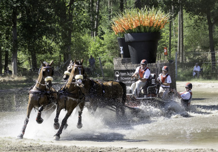 Topsport, show en gezelligheid