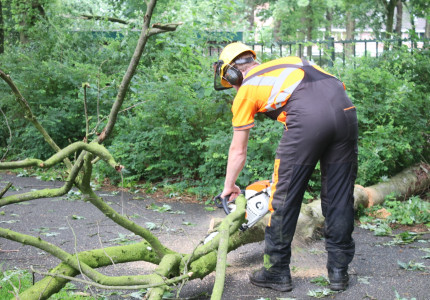 Landdrostlaan afgesloten nadat boom weg versperd