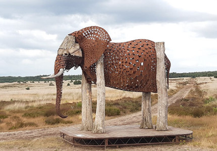 The Weeping Elephant komt thuis op de Veluwe