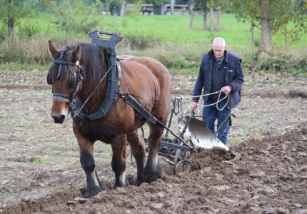 Ploegen bij Achter ’t Peerd