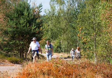 Vier dagen wandelen door al het groen