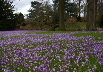 Natuurcursus IVN