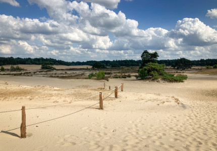 Start uitvoering maatregelen recreatiezonering tijdens broedseizoen Midden Veluwe