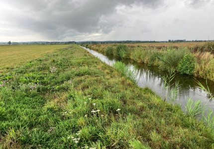 Tijdelijk onttrekkingsverbod grondwater natte landnatuur