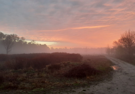 Excursie voor vroege vogels