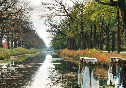 Dag van Gedenken in Gelre ziekenhuizen