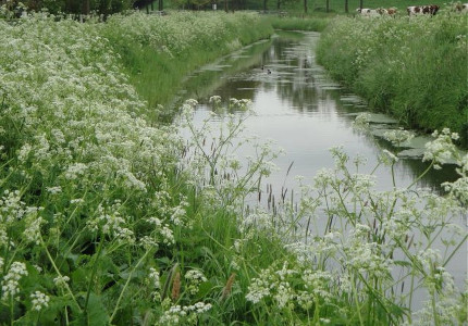 Fietstocht Lentetocht door IJsselvallei