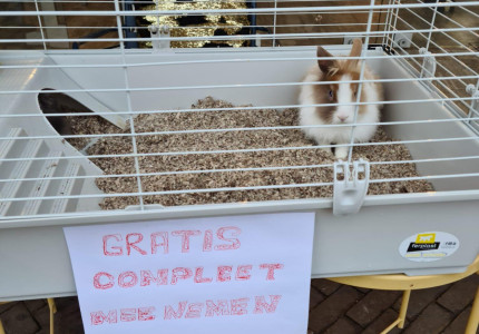 Geen ‘Flappie einde’, maar een warme kerst voor Joseph en Maria