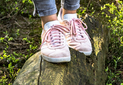 Veel animo voor try-out Sunday Hike in Zutphen; extra editie op zondag 21 maart