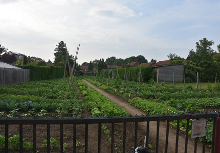 Voor schoolkinderen die groene vingers willen