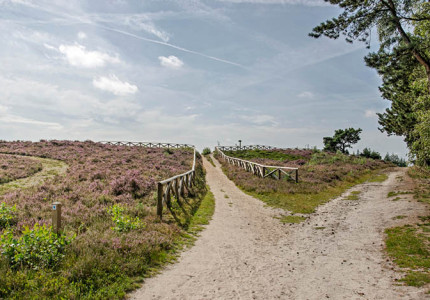 Actief op de Sallandse Heuvelrug