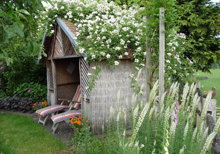 Struin door de tuin