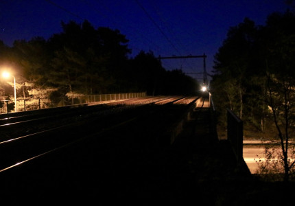 Trein botst tegen dier; treinen rijden stapvoets