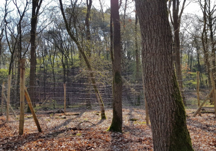 Rasters in Het Nationale Park De Hoge Veluwe