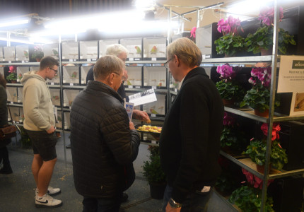 Show Voorster Vogelvrienden