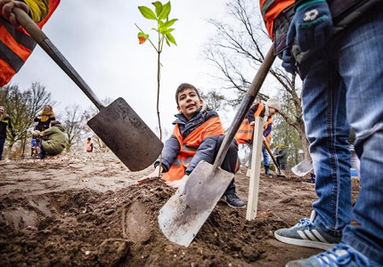 Plek gezocht voor drienieuwe Tiny Forests