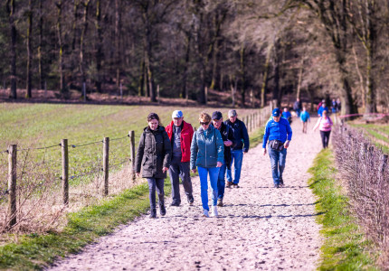 Verrassend wandelen in bos, op heide en landbouwgrond