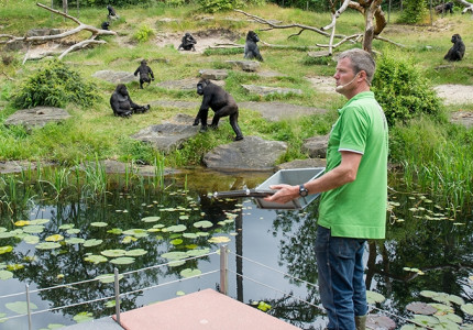 Prestigieuze prijs voor Apenheul