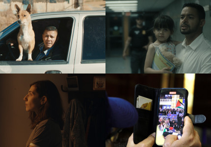 De kwetsbaarheid van het leven onder druk