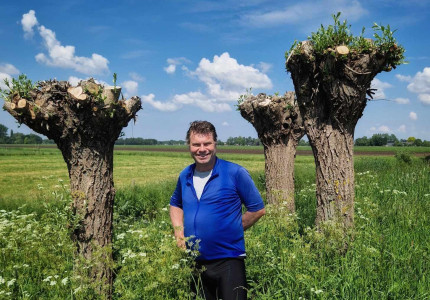 Wilgen én vrijwilligers oersterk dankzij knotgroep