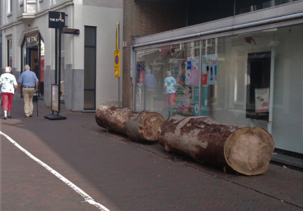 Bomen winnen het van fietsen in binnenstad