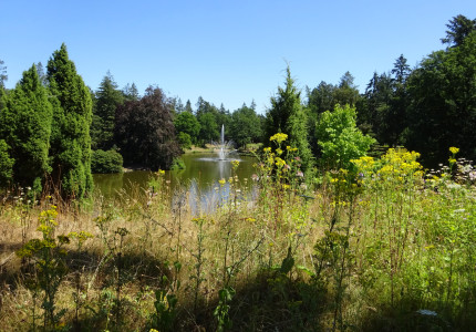 Park Berg en Bos: het groene hart van Apeldoorn