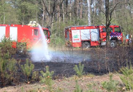 Heidebrand in Ugchelen