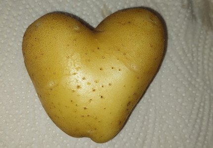 Onvoorwaardelijke liefde….