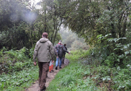 IVN Eindejaarsplantenjacht / -excursie