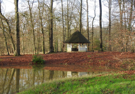 Met je smartphone het bos in