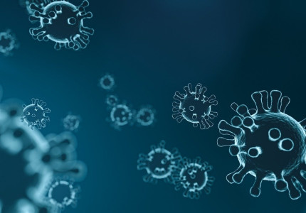 Update coronavirus