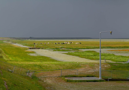 Gevarieerde expositie Kunst in Zuid